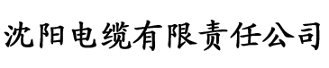 天选之国1620电缆厂logo